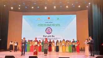 Lào Cai có 5 trường học đạt Giải thưởng Trường học sinh thái ASEAN Việt Nam