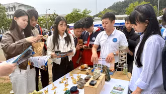 Sôi nổi Ngày hội hướng nghiệp, phân luồng, tuyển sinh năm 2025