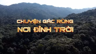 Chuyện gác rừng nơi đình trời