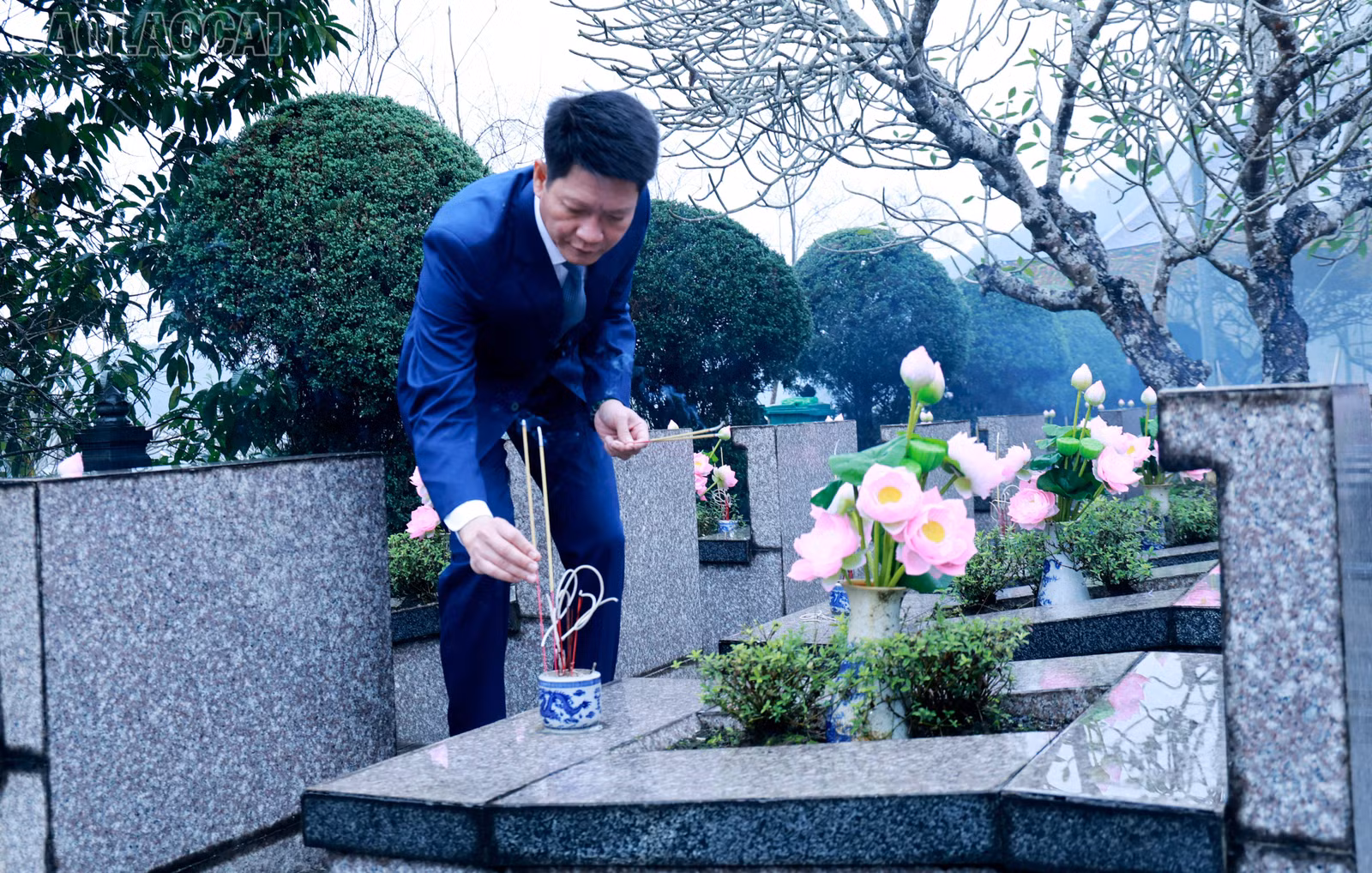 baolaocai-tl_060a7033.jpg