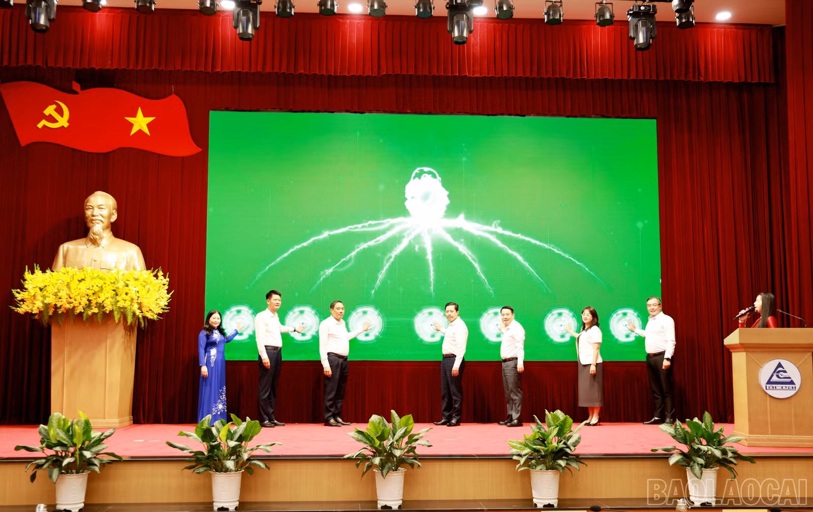 baolaocai-br_060a0093.jpg