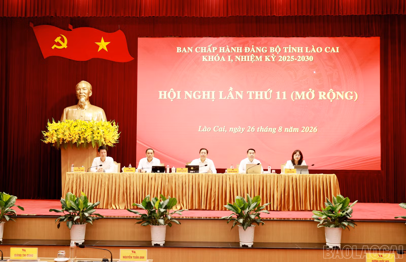 baolaocai-br_060a0138.jpg