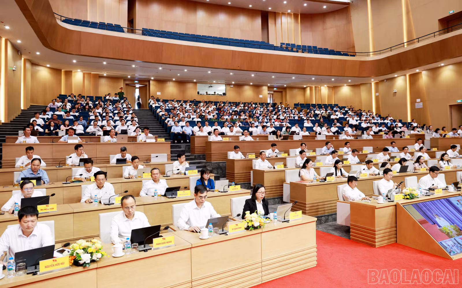 baolaocai-br_060a1865.jpg