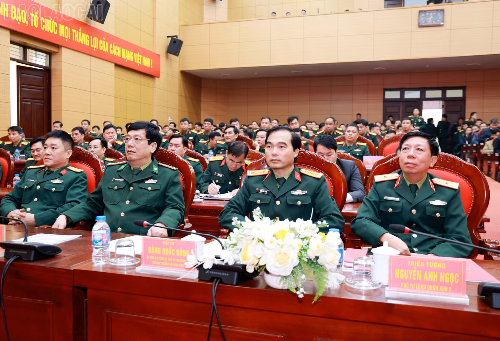 baolaocai-tl_060a5536.jpg