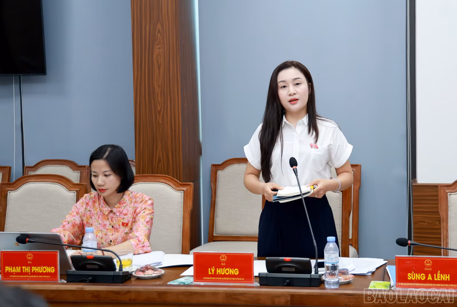 baolaocai-br_060a8299.jpg
