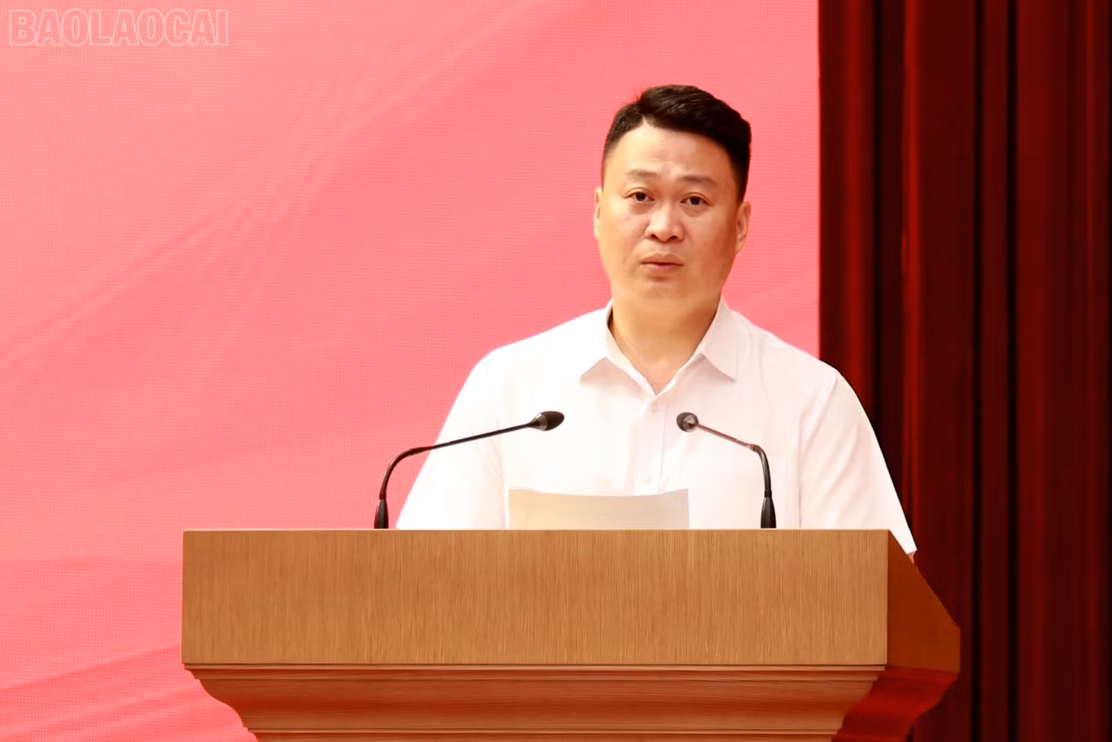 baolaocai-tl_060a6905.jpg
