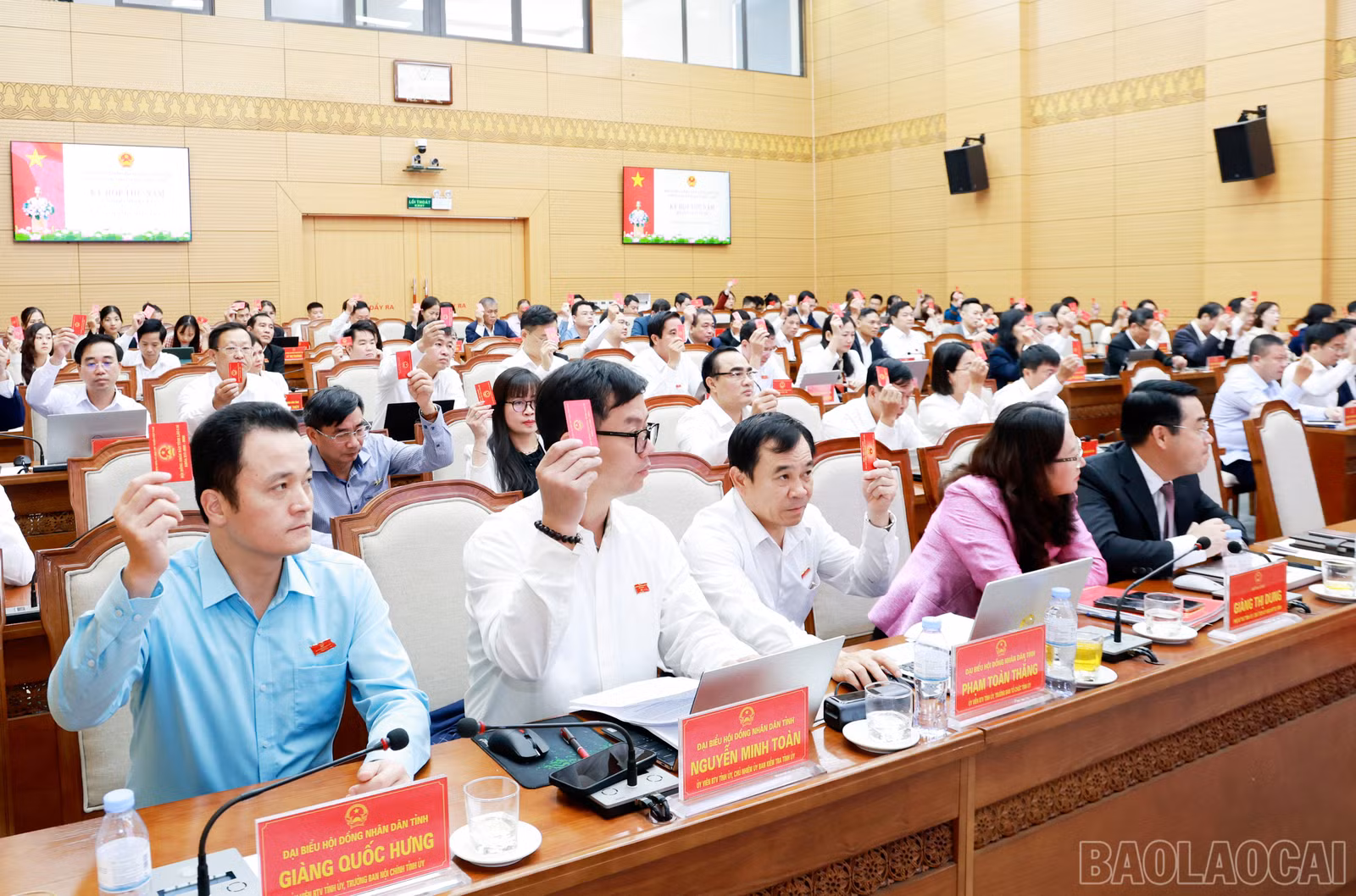 baolaocai-br_060a2738.jpg