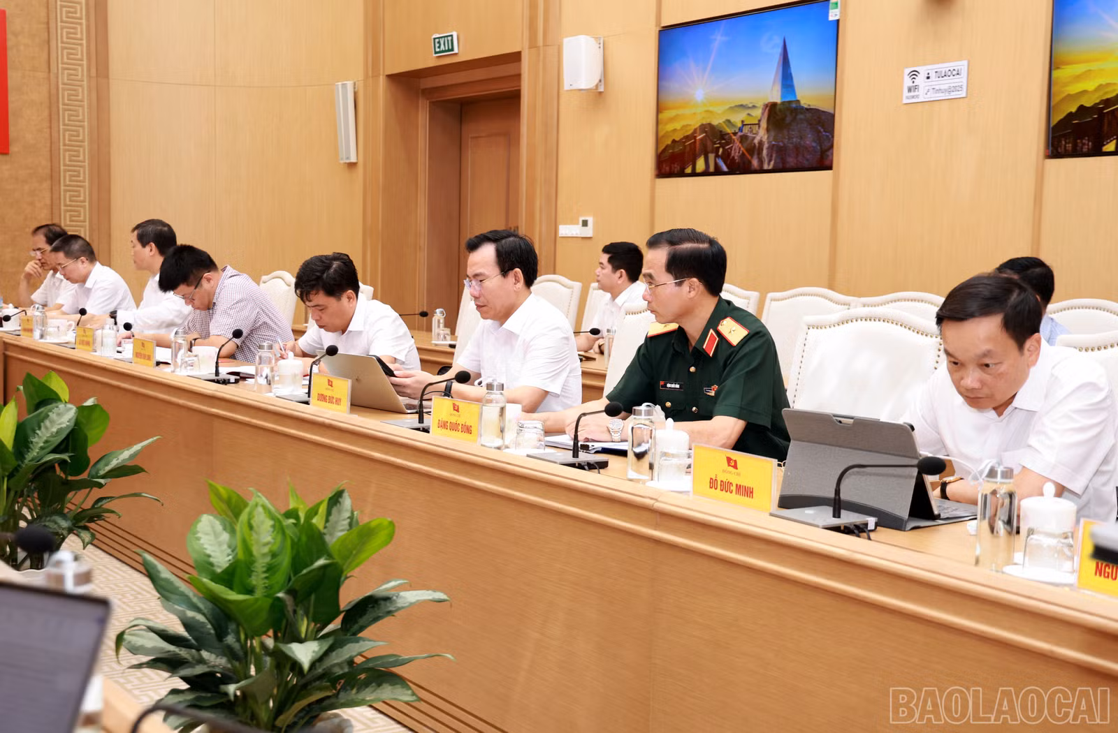 baolaocai-br_060a8847.jpg