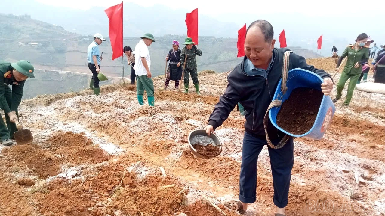 baolaocai-br_z7648300494856-a5dcb564376f76d1e160c6b53f3b17e4.jpg