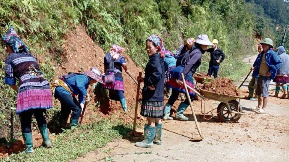 baolaocai-br_549980692-1395250622606734-529274142880581376-n-1982.jpg