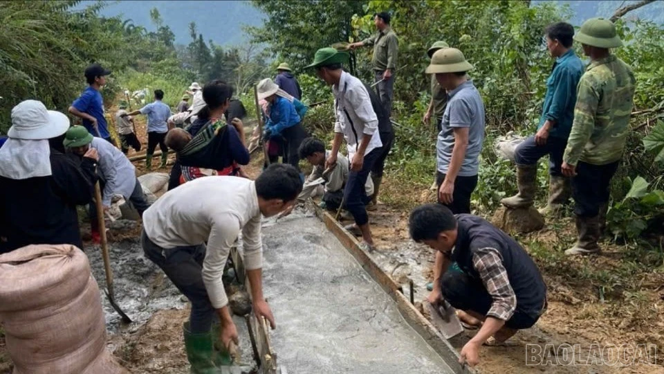 baolaocai-br_503179769-2801374416731710-4838813858880921260-n-9629.jpg