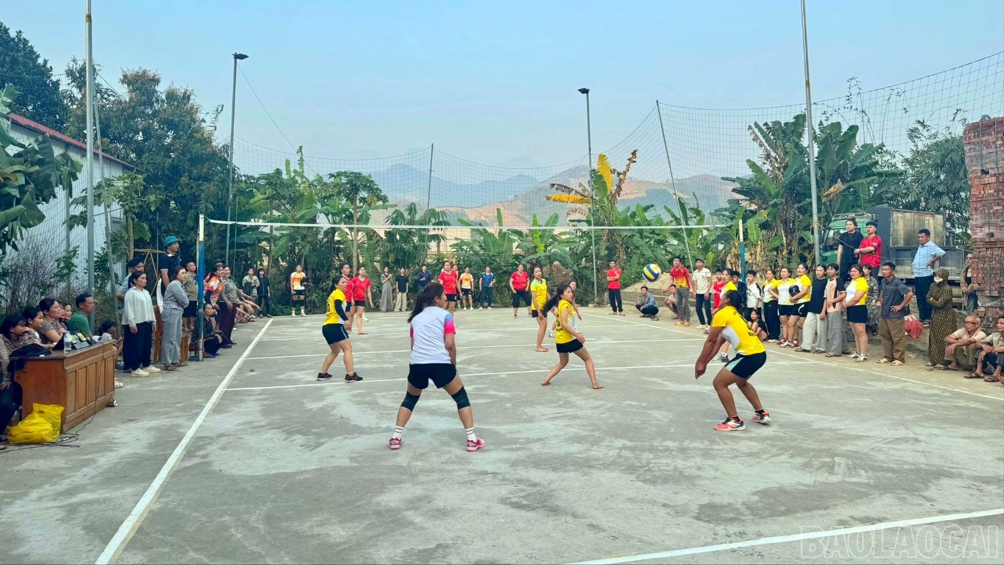 baolaocai-br_646989156-2210901589648406-5574366445308658135-n-5877.jpg