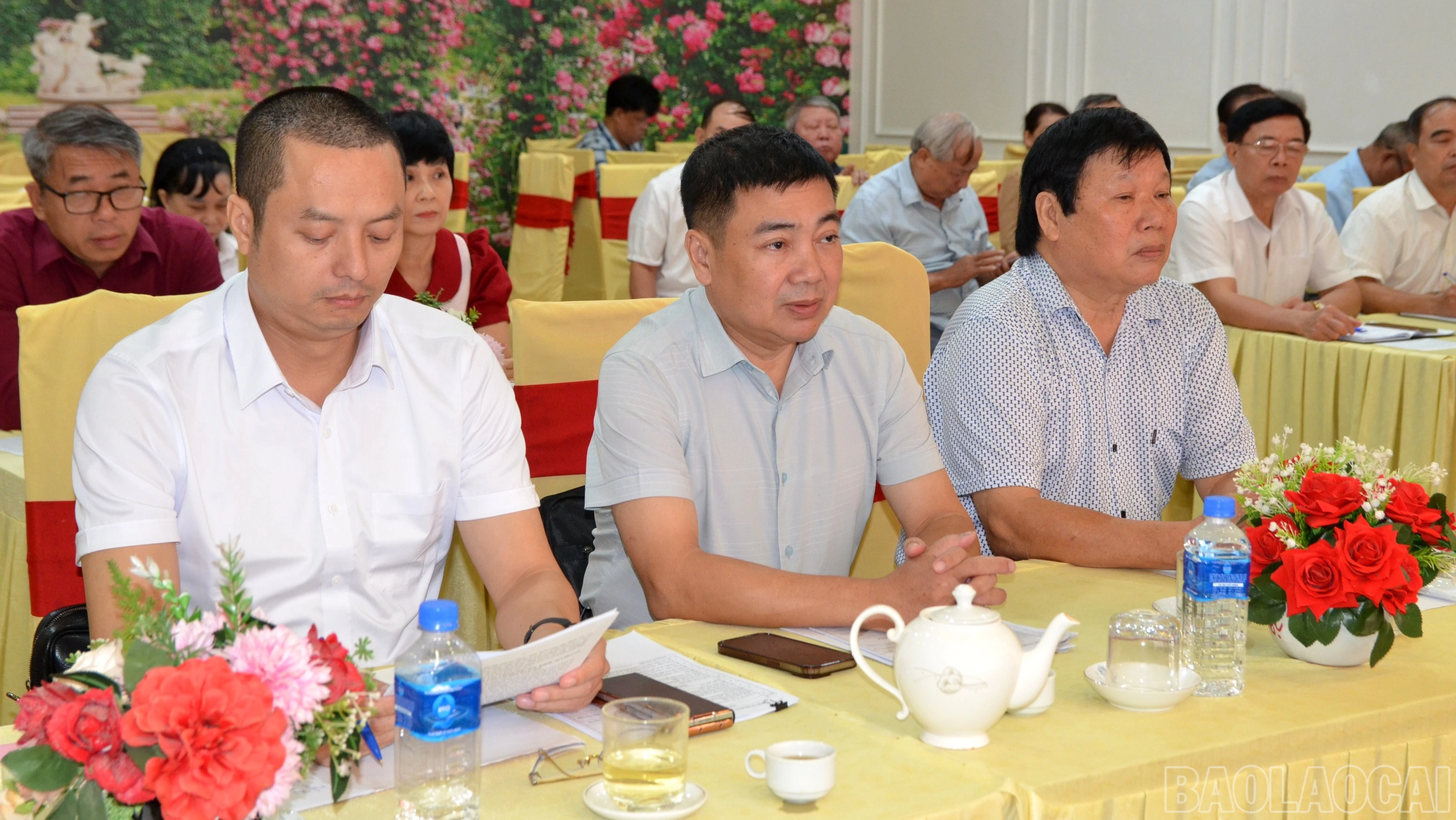 baolaocai-br_dsc-7964-5923.jpg