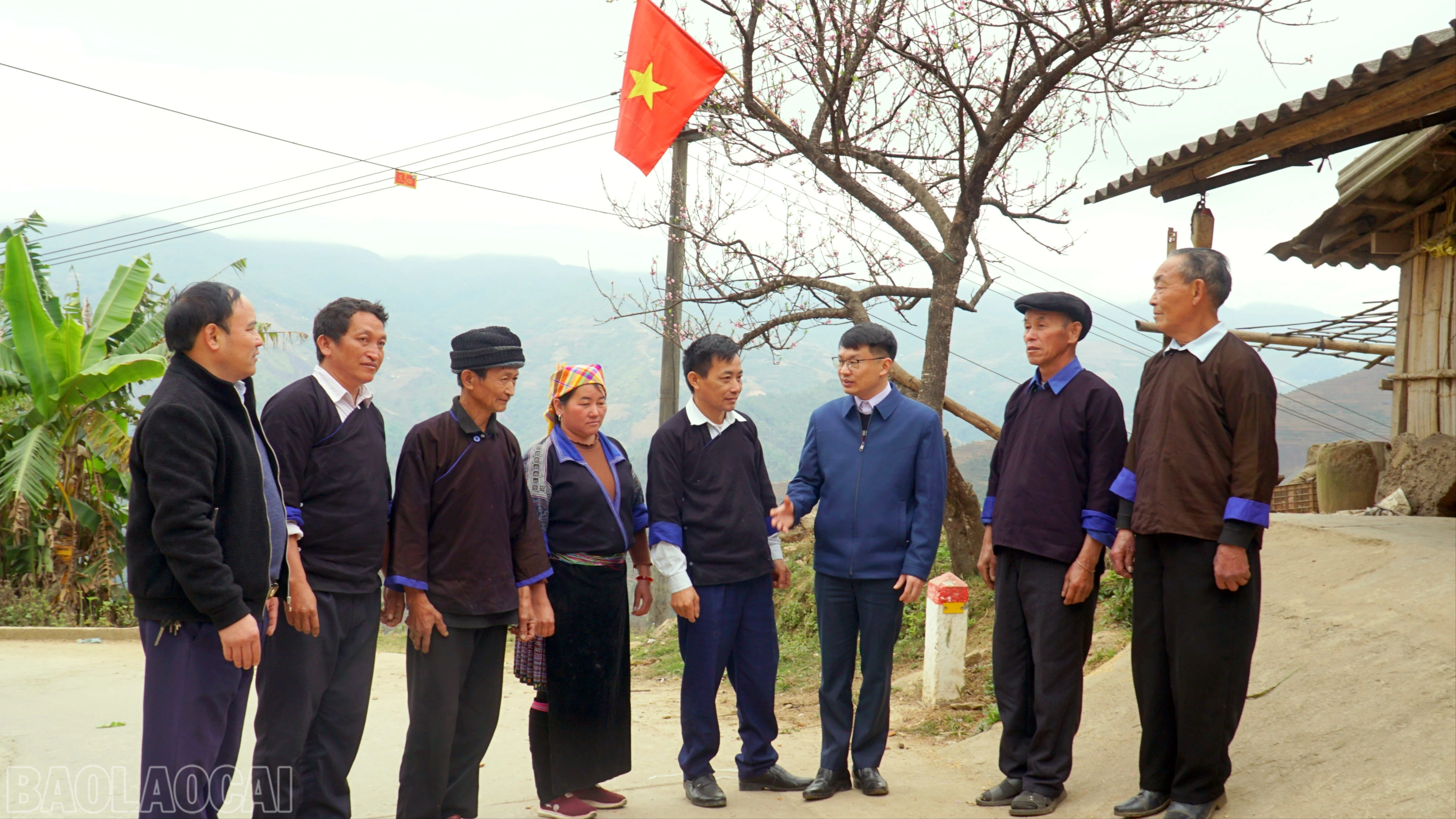baolaocai-bl_image-7-5883.jpg
