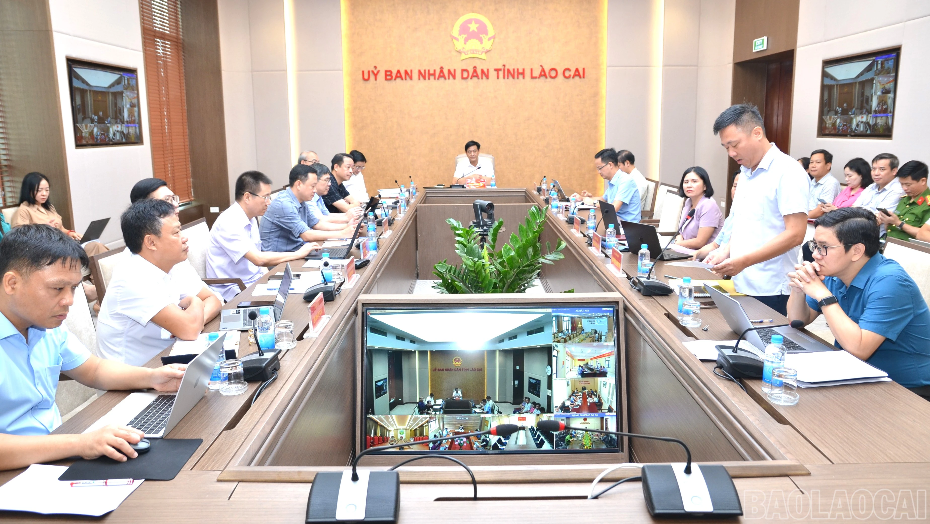baolaocai-br_dsc-7726-7024.jpg