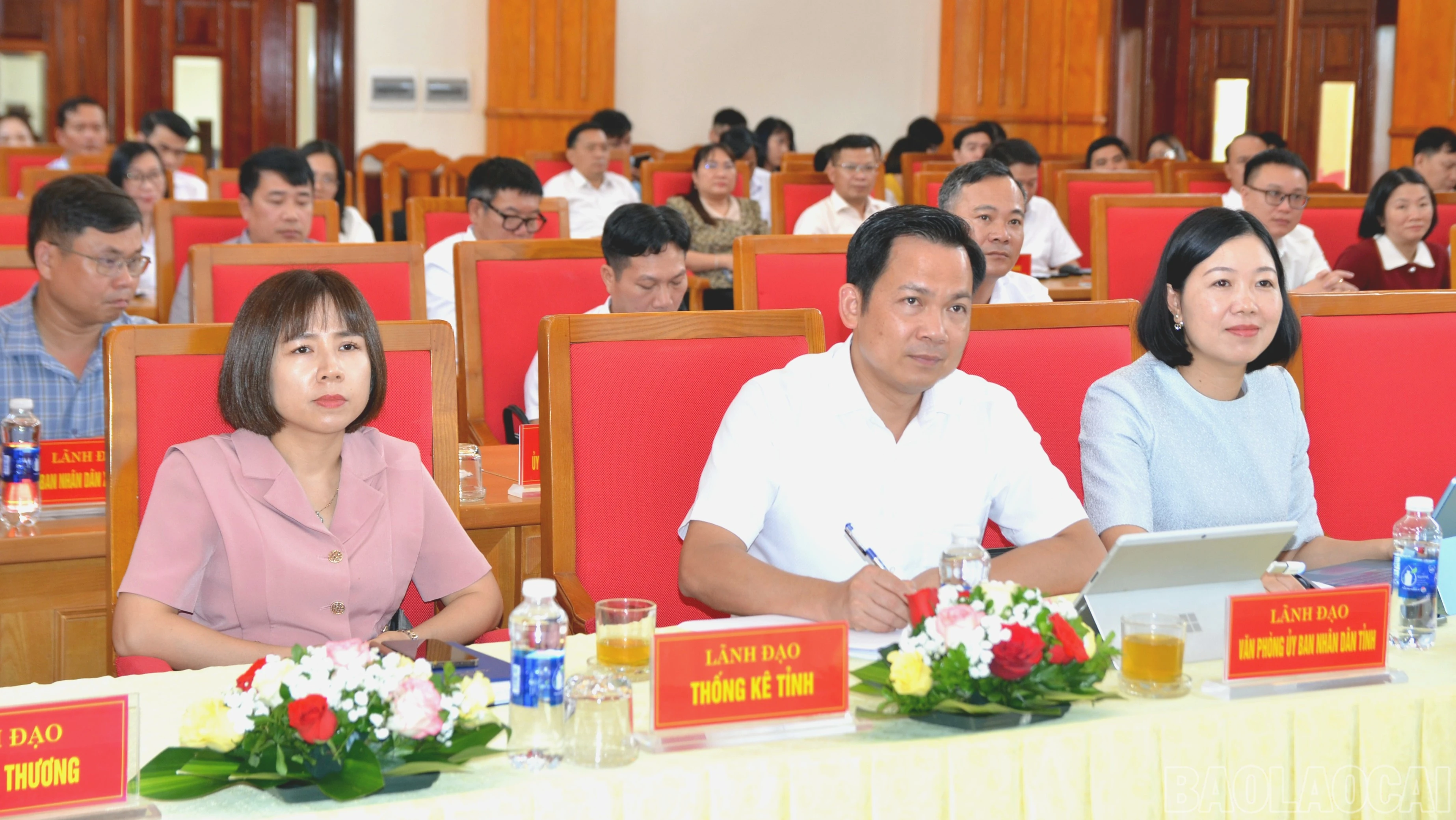 baolaocai-br_dsc-7645-7446.jpg