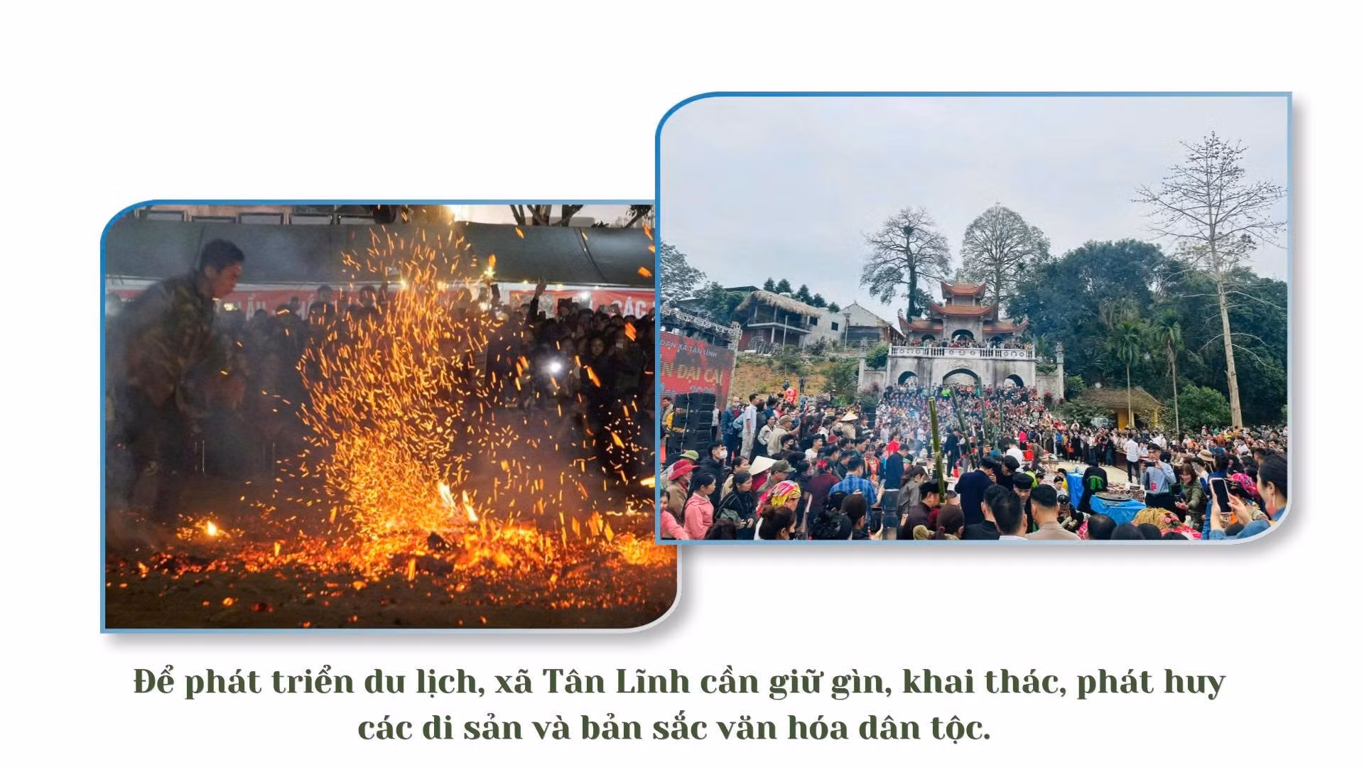 baolaocai-tr_22.jpg