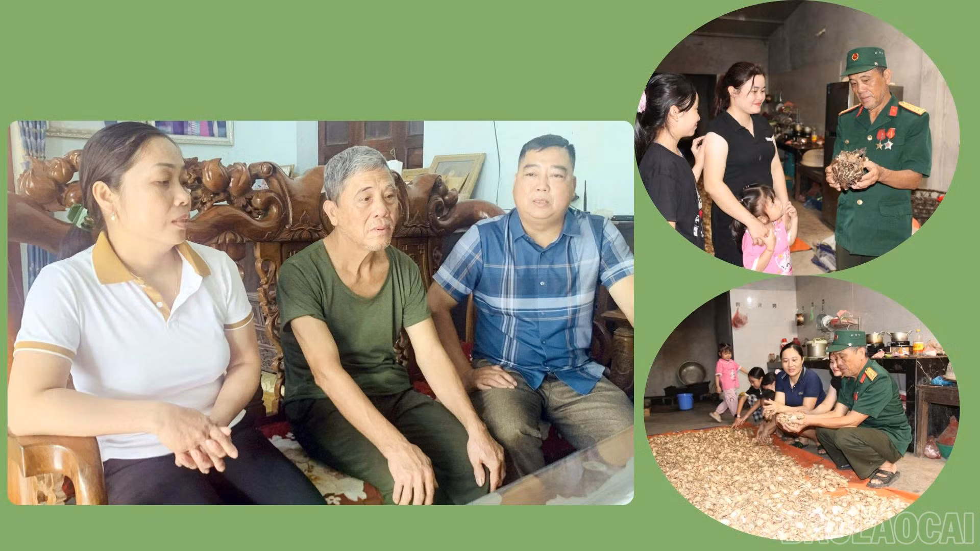 baolaocai-br_anh-2.jpg