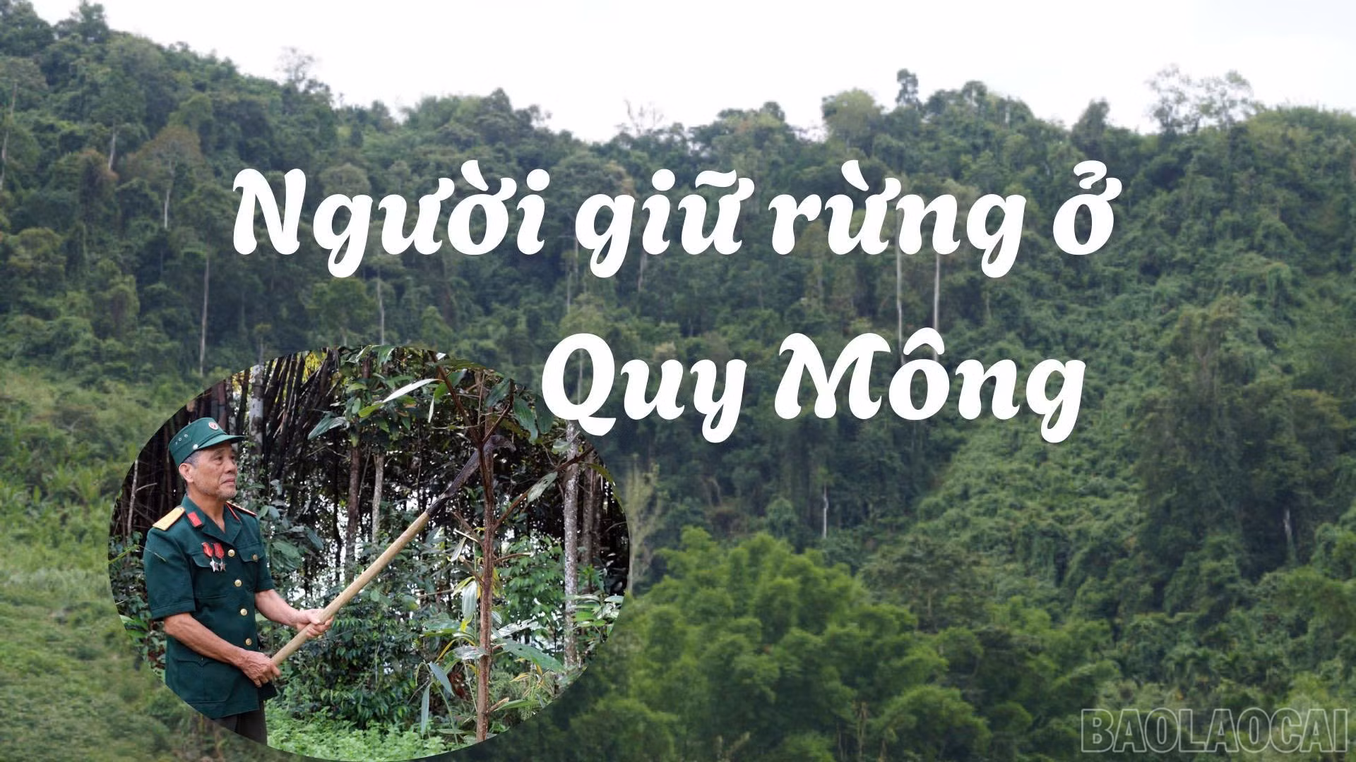 Người giữ rừng ở Quy Mông 