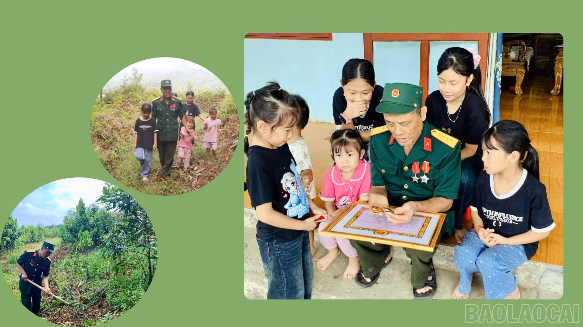 baolaocai-br_anh-3.jpg