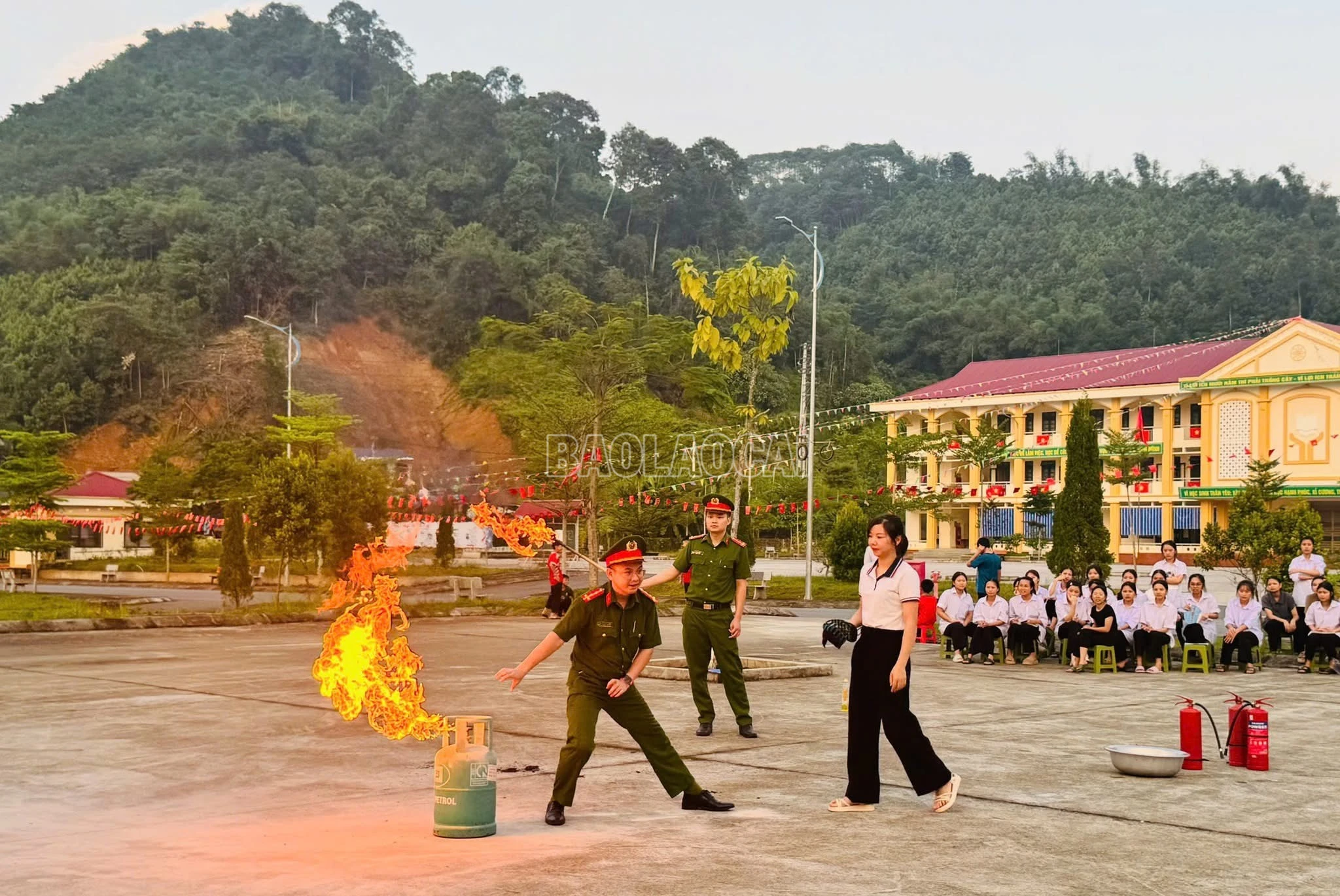 baolaocai-c_img-4748.jpg