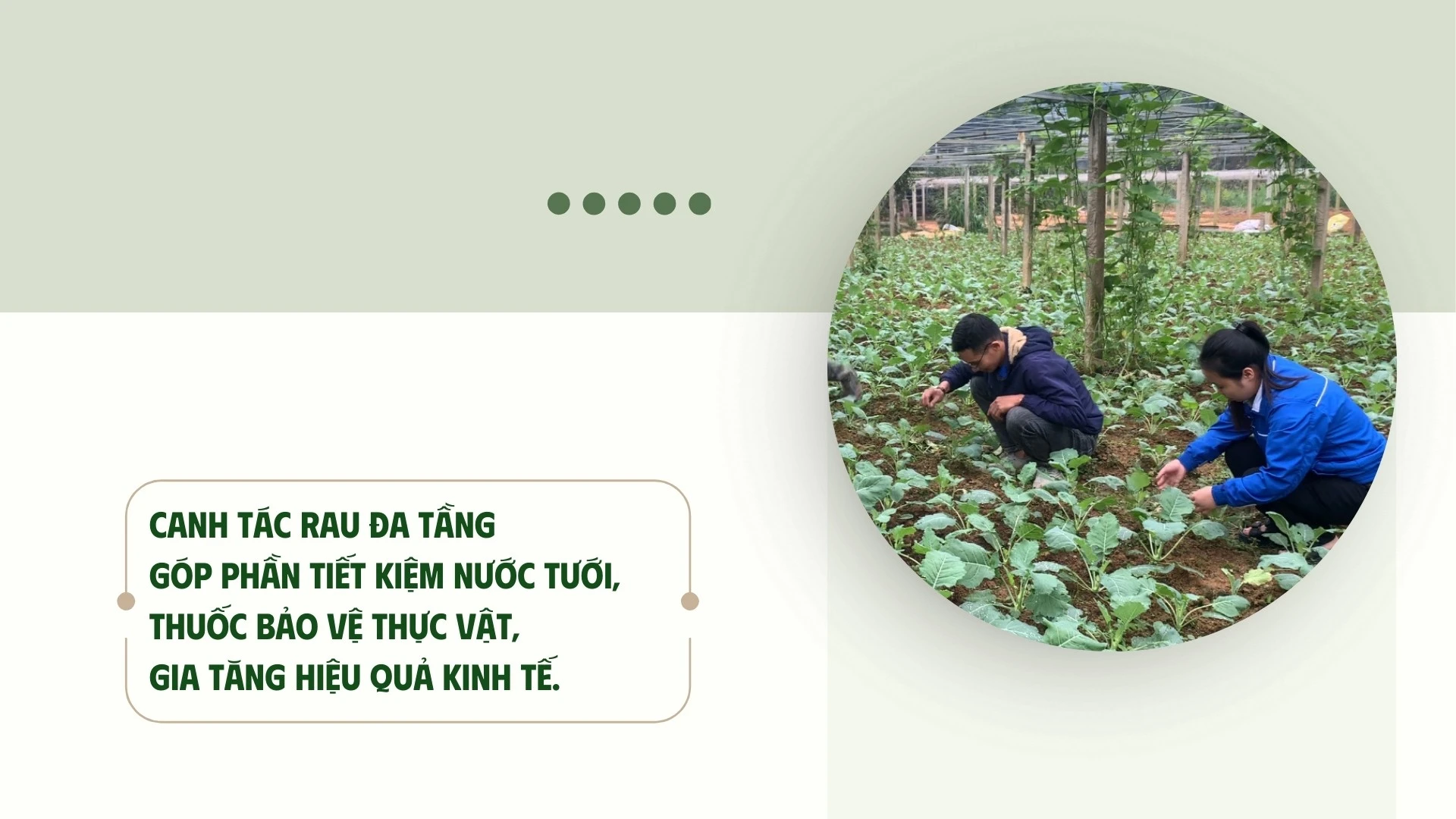phang-taozip-5.jpg