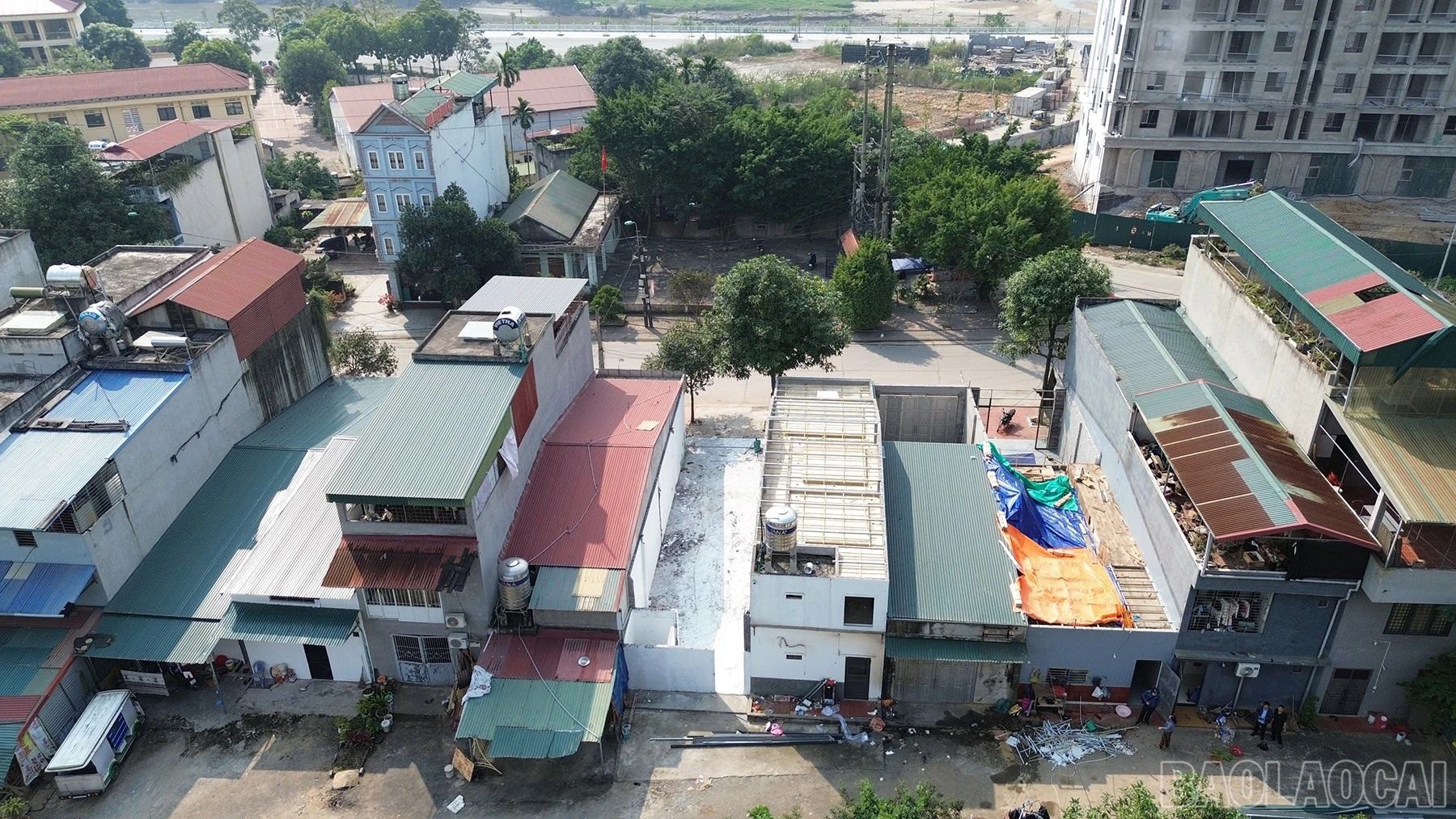 baolaocai-br_dji-0549.jpg
