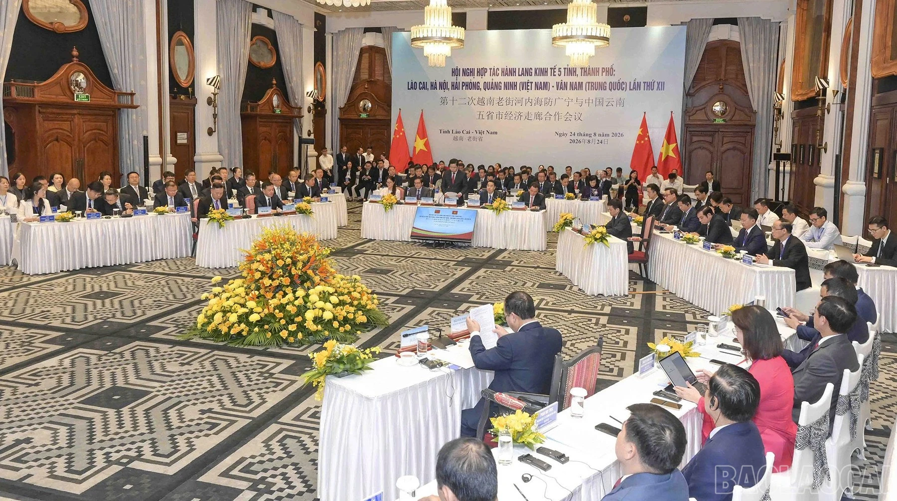 baolaocai-br_pcgqh-1.jpg