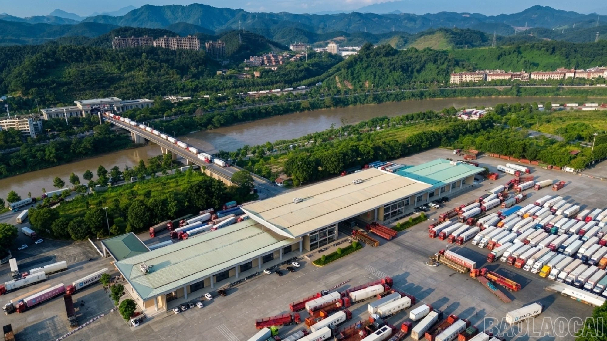 baolaocai-br_pct-2.jpg