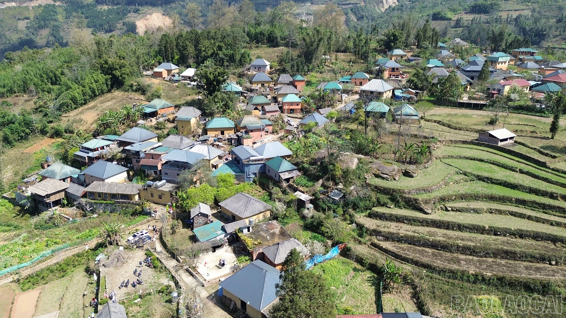 baolaocai-br_dji-0550.jpg
