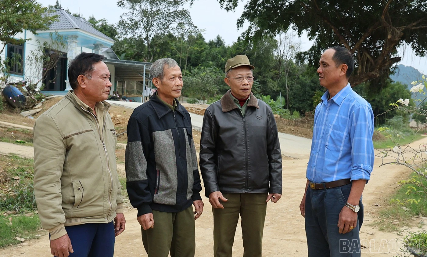 baolaocai-br_venong-11.jpg