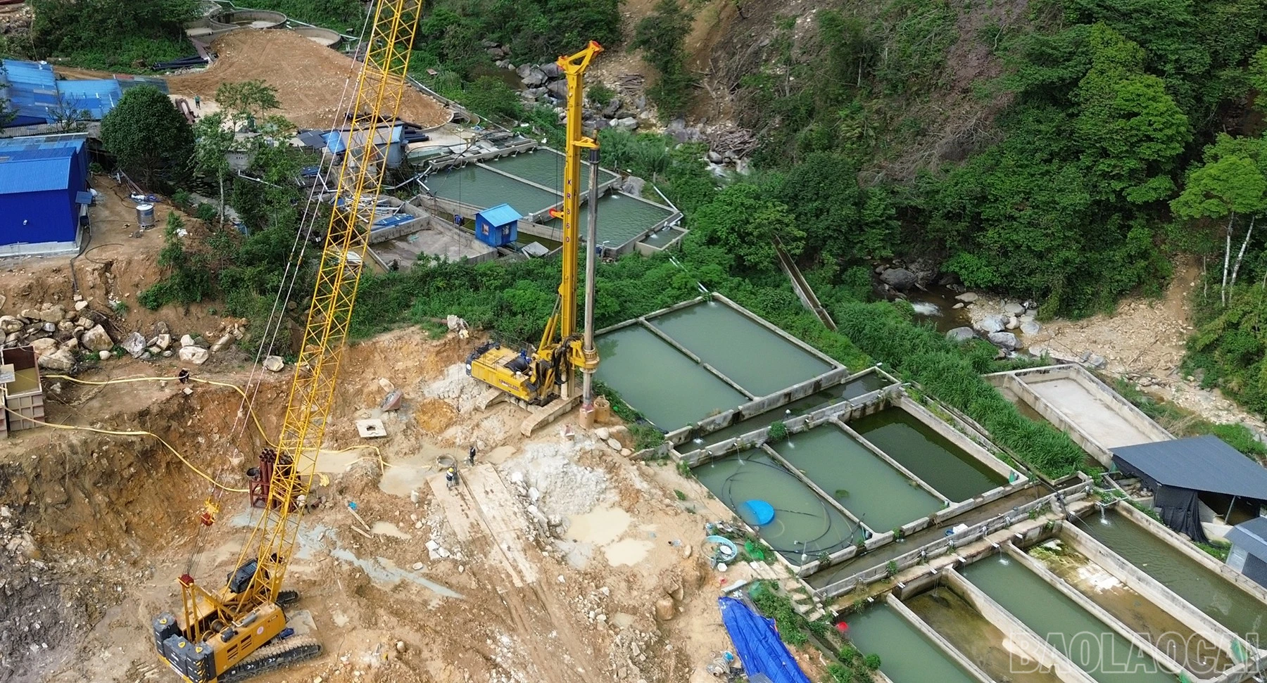 baolaocai-br_dji-0878.jpg
