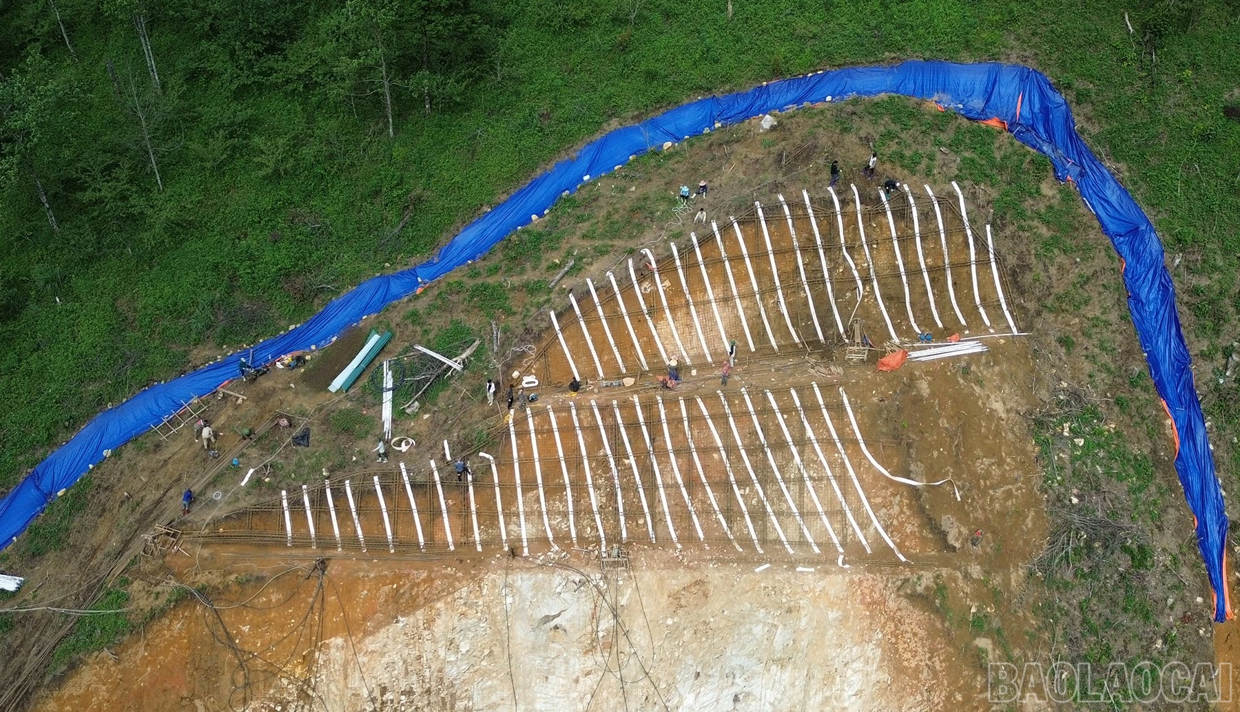 baolaocai-br_dji-0847.jpg
