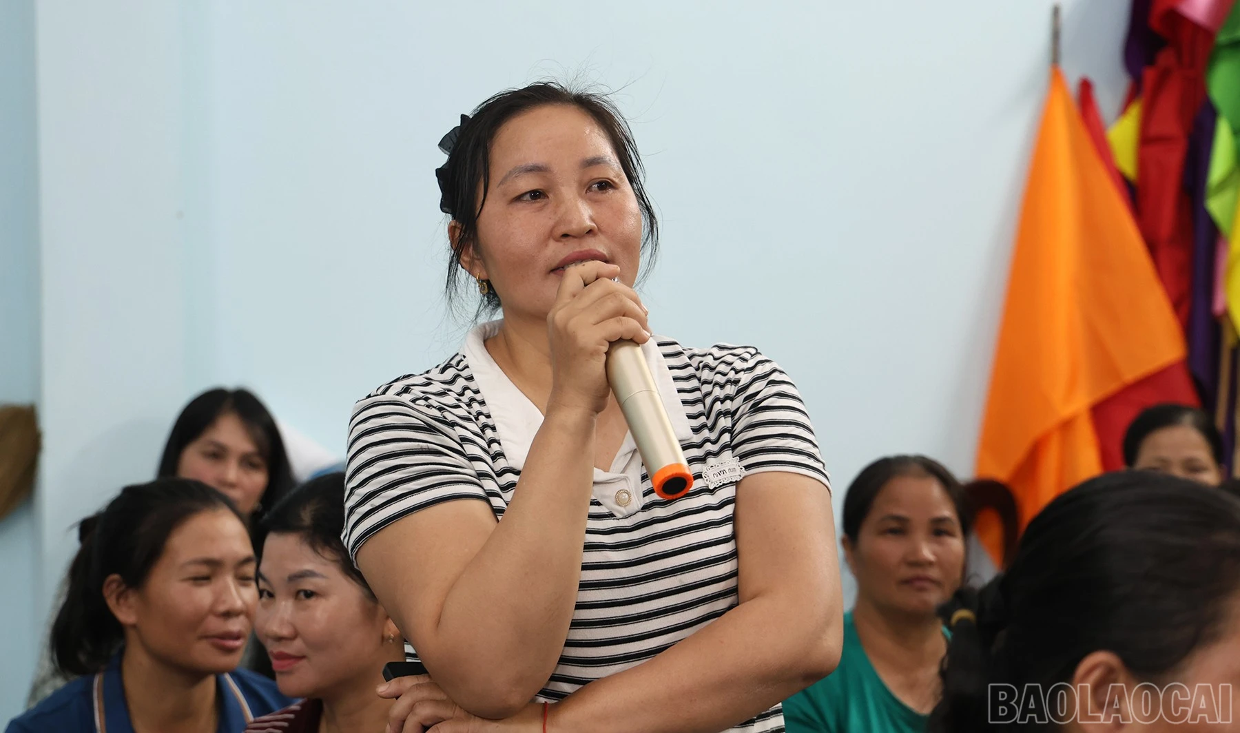 baolaocai-br_img-9450.jpg