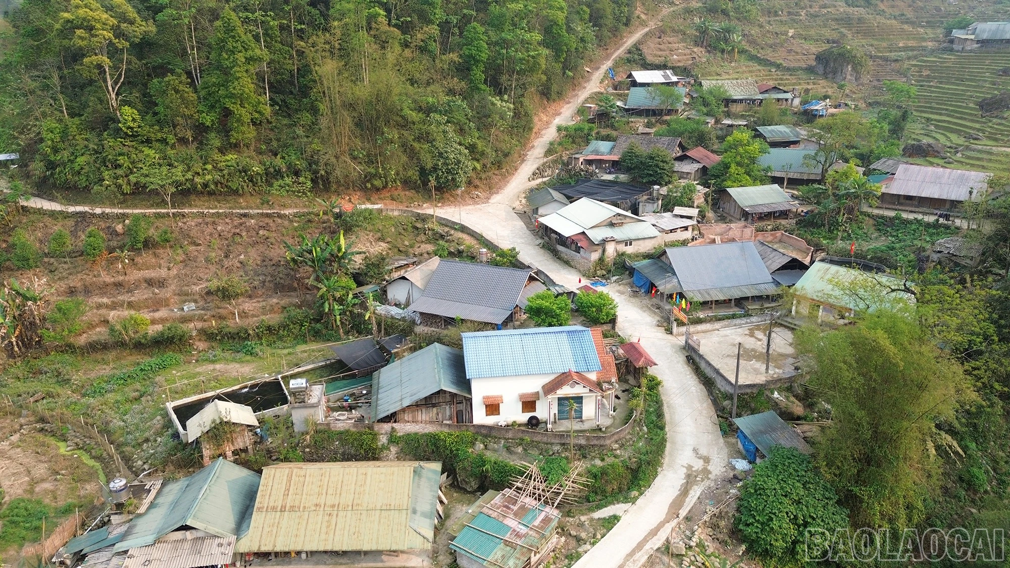 baolaocai-br_cautreo-4.jpg