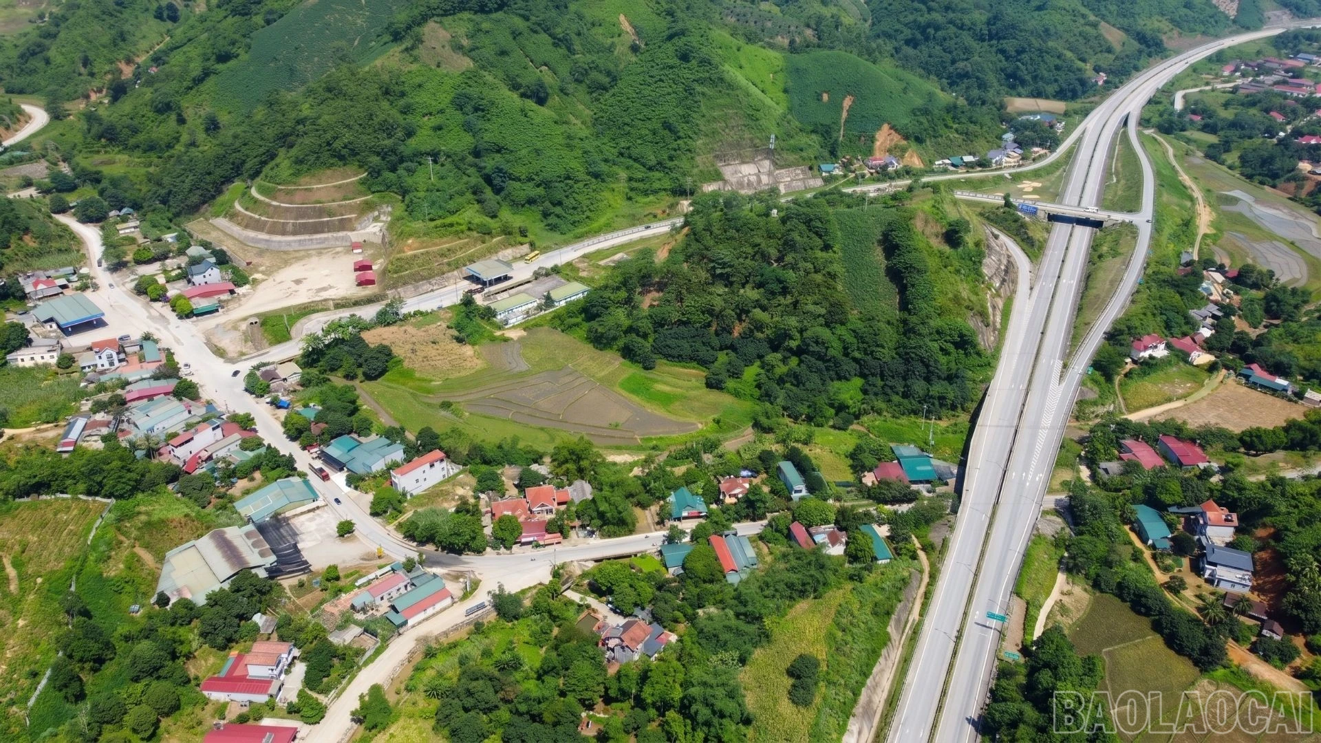 baolaocai-br_1.jpg