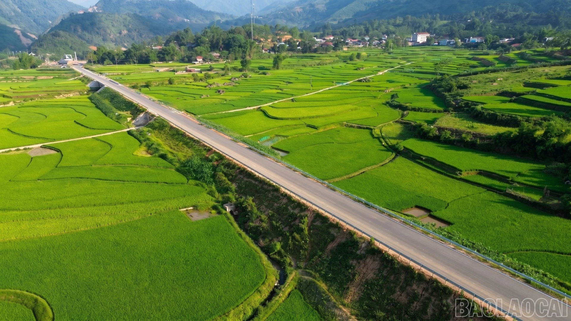 baolaocai-br_6.jpg