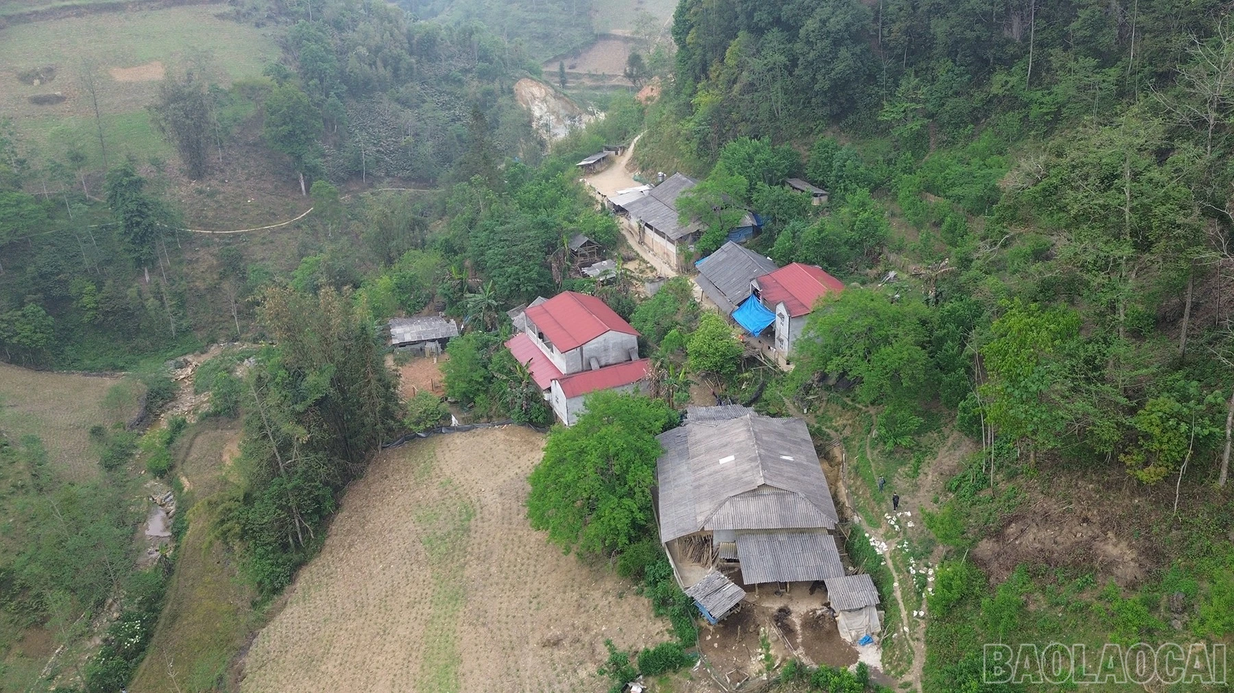 baolaocai-br_dji-0183.jpg