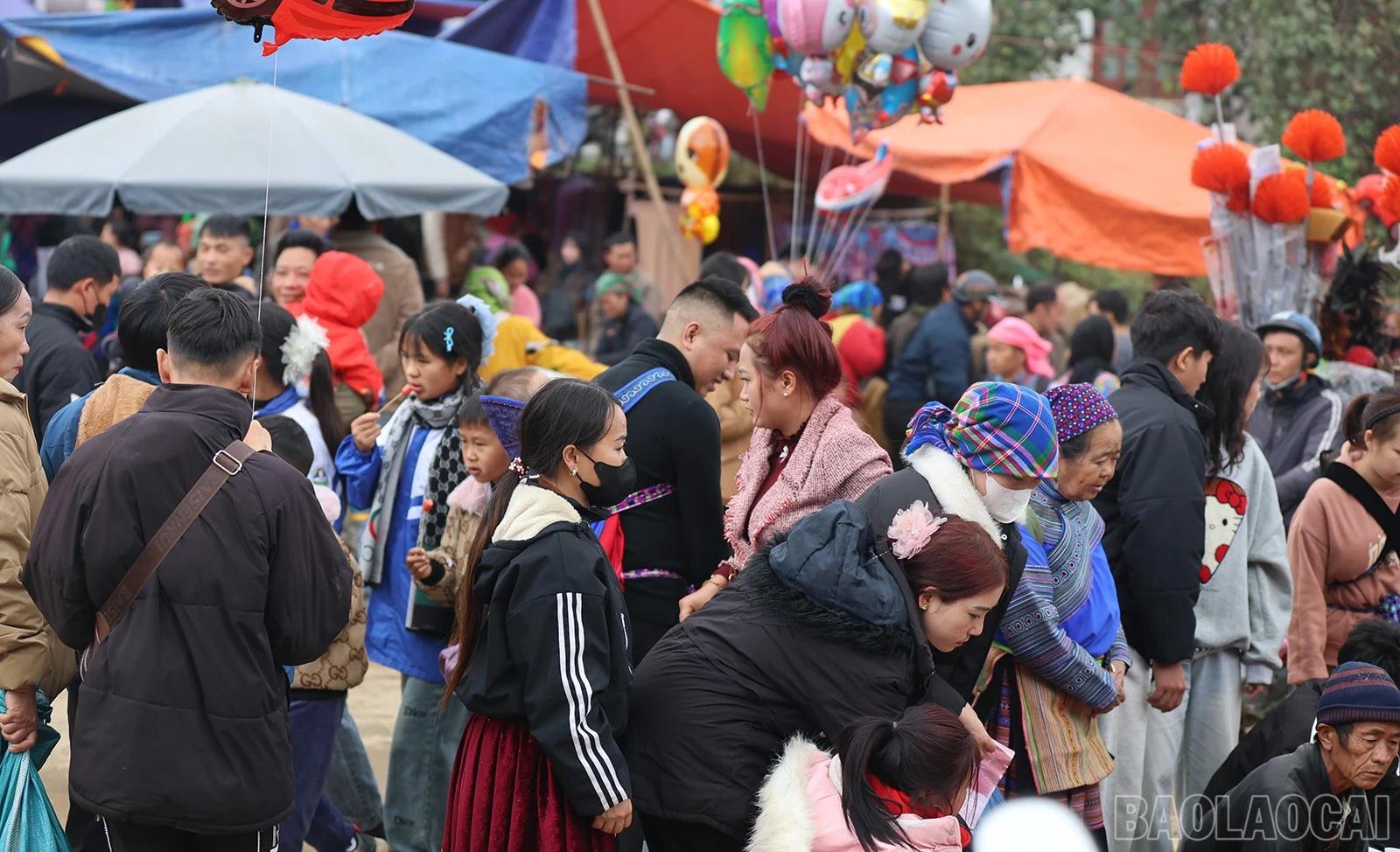 baolaocai-br_img-6411.jpg