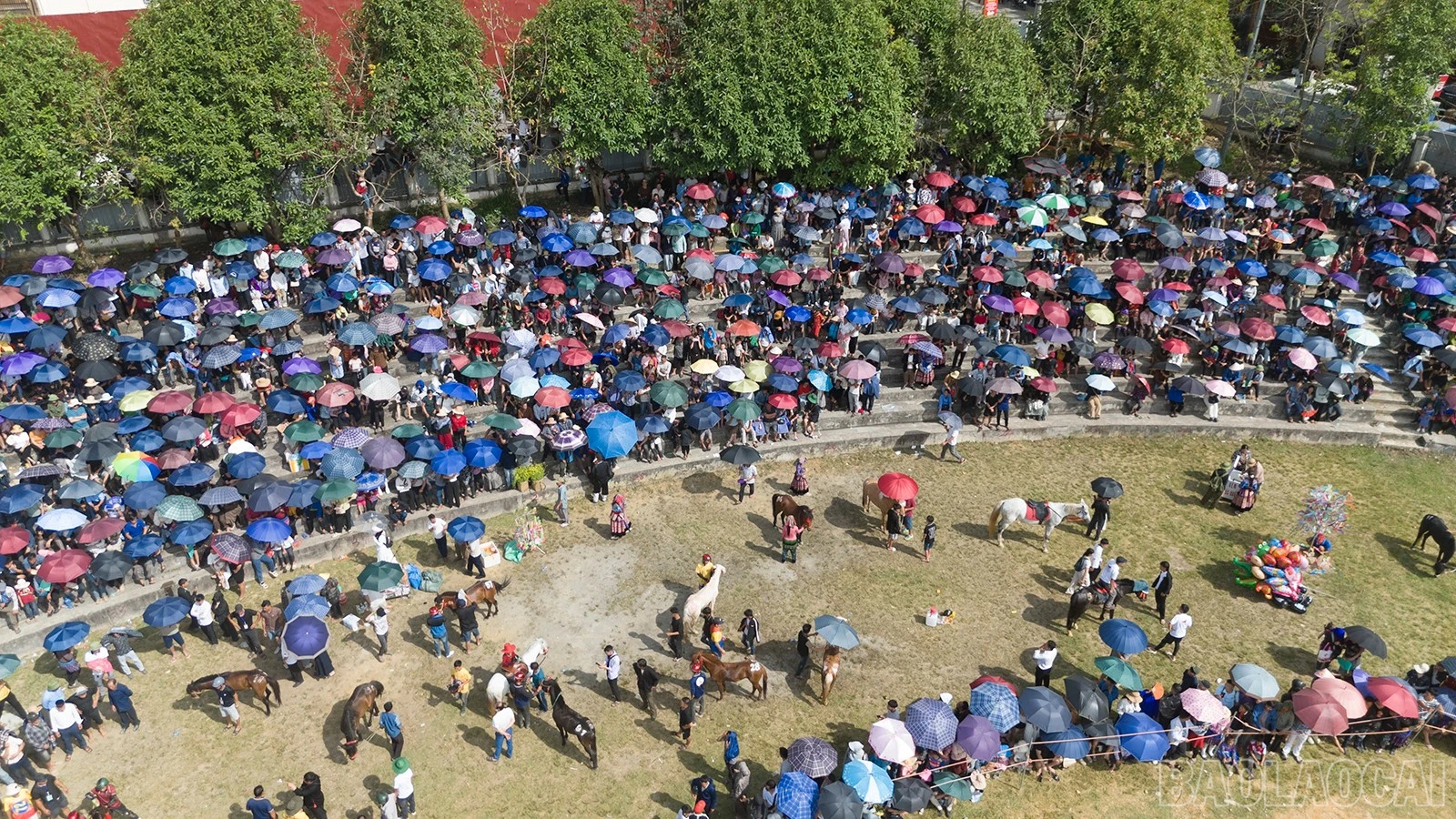 baolaocai-br_khandai.jpg