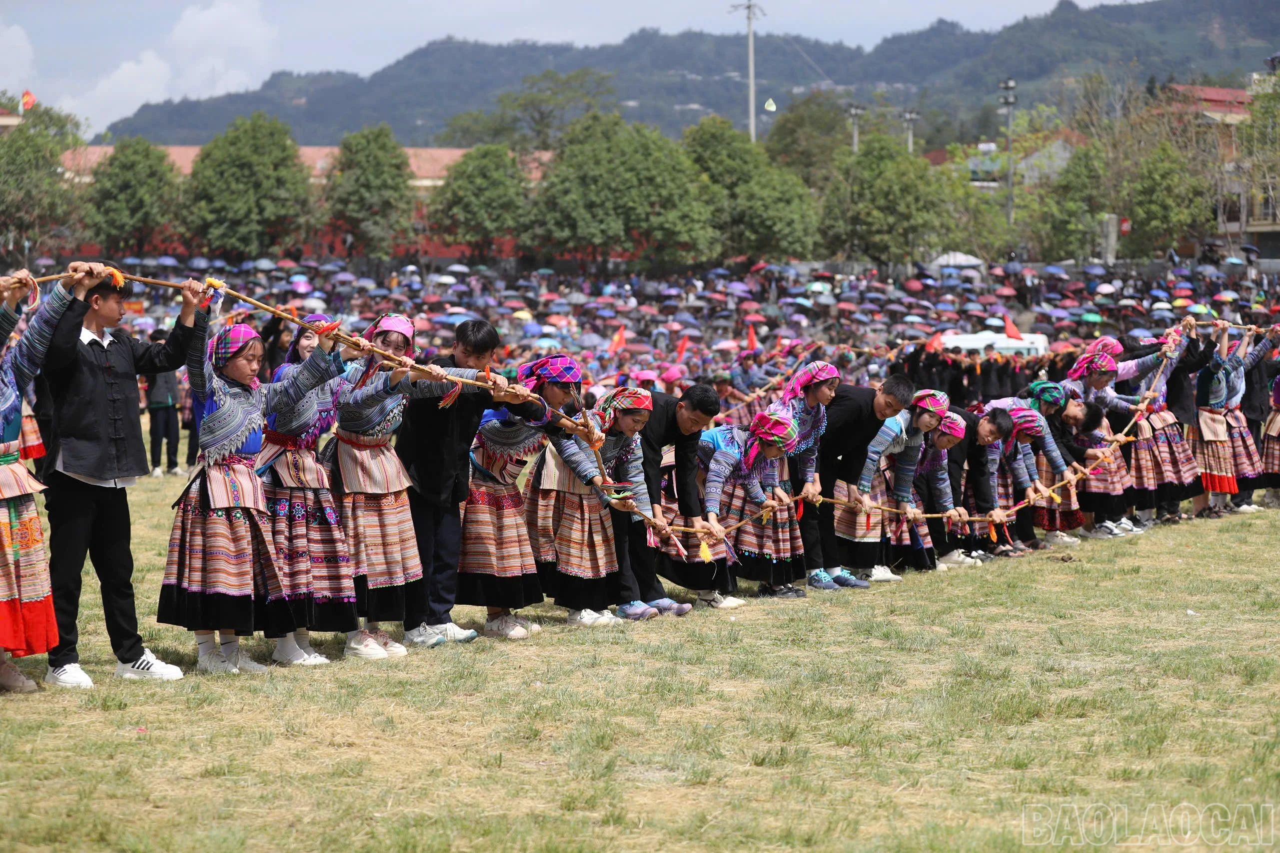 baolaocai-br_muagya-1.jpg