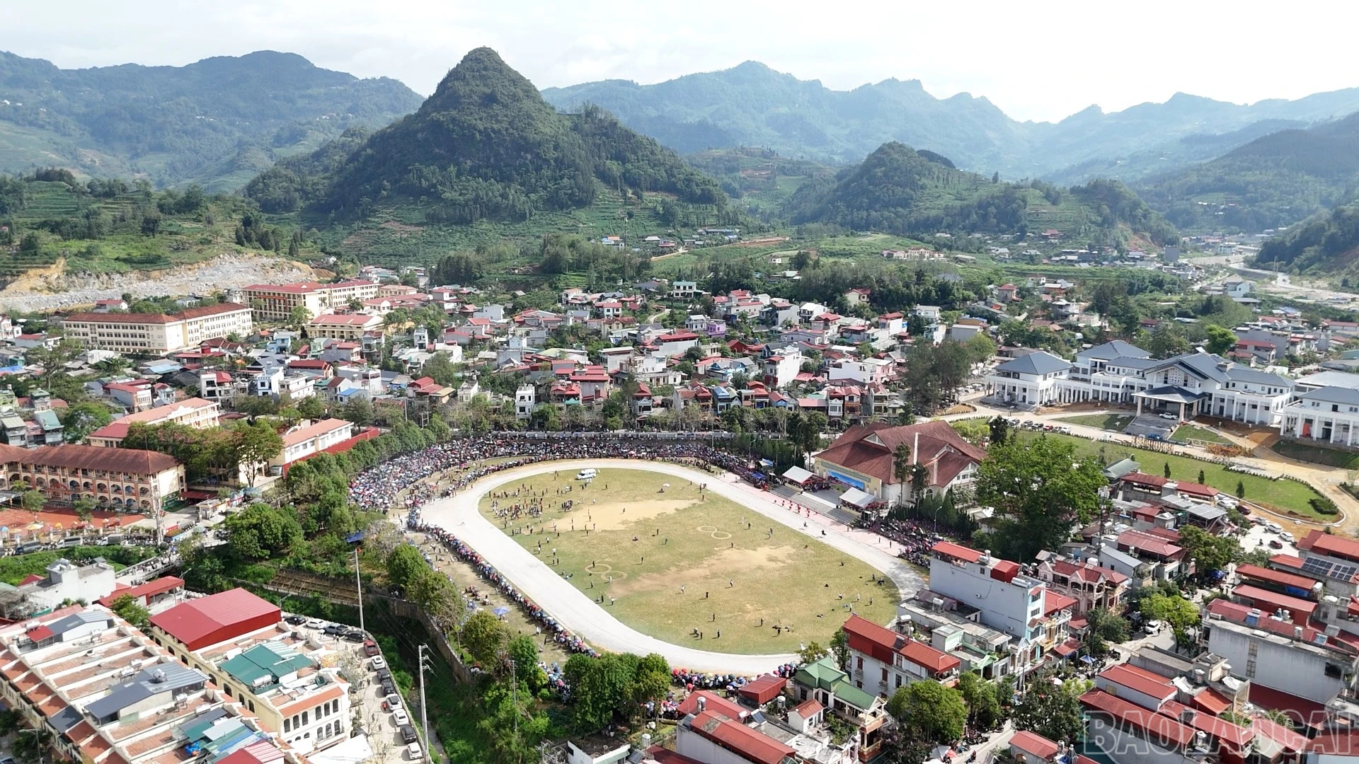 baolaocai-br_a1-1.jpg