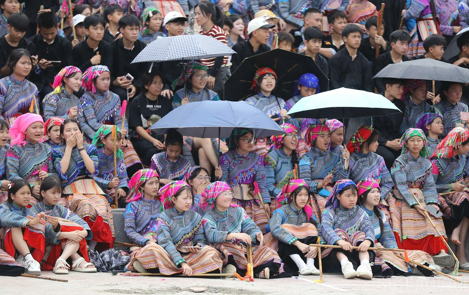 baolaocai-br_chungket-23.jpg