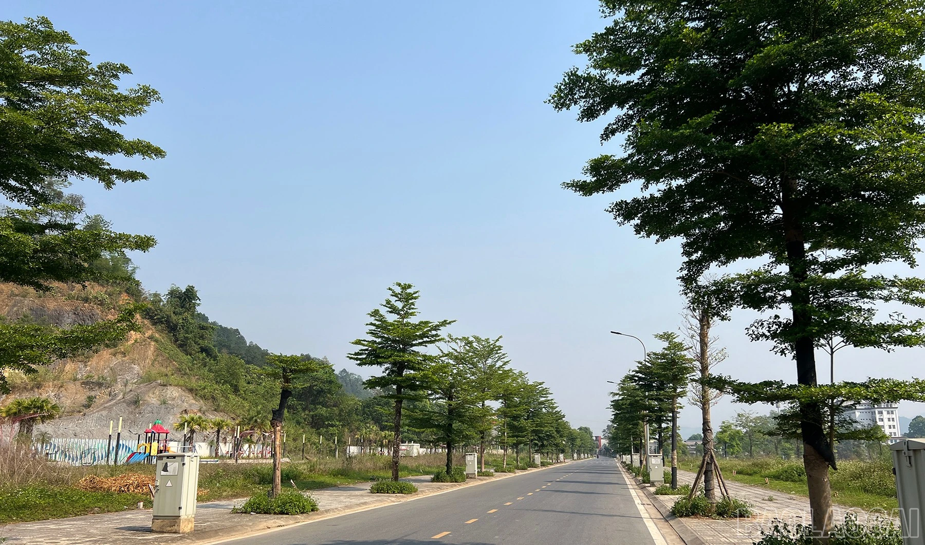 baolaocai-br_aaa-1.jpg