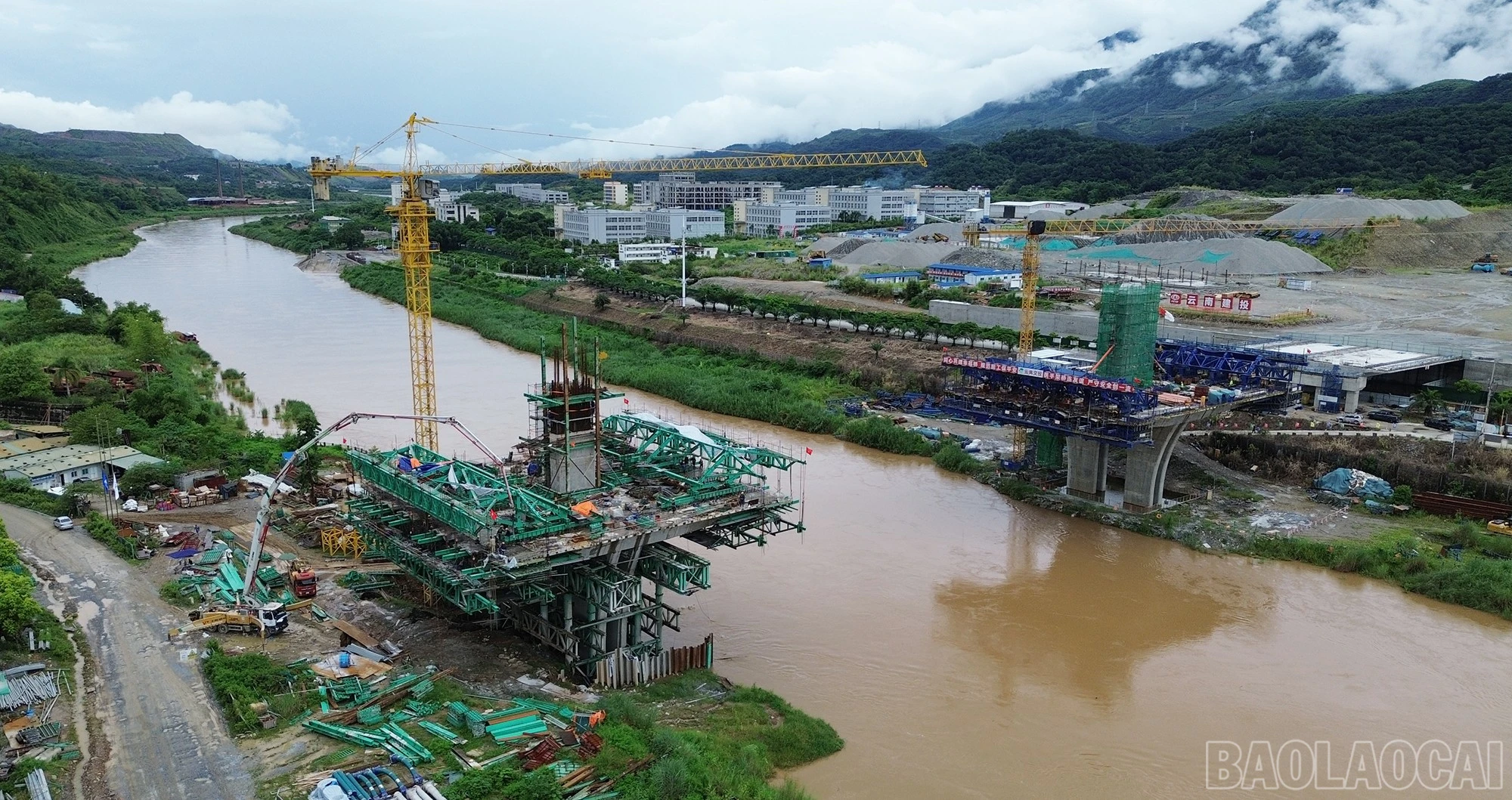baolaocai-br_bvyt-5.jpg
