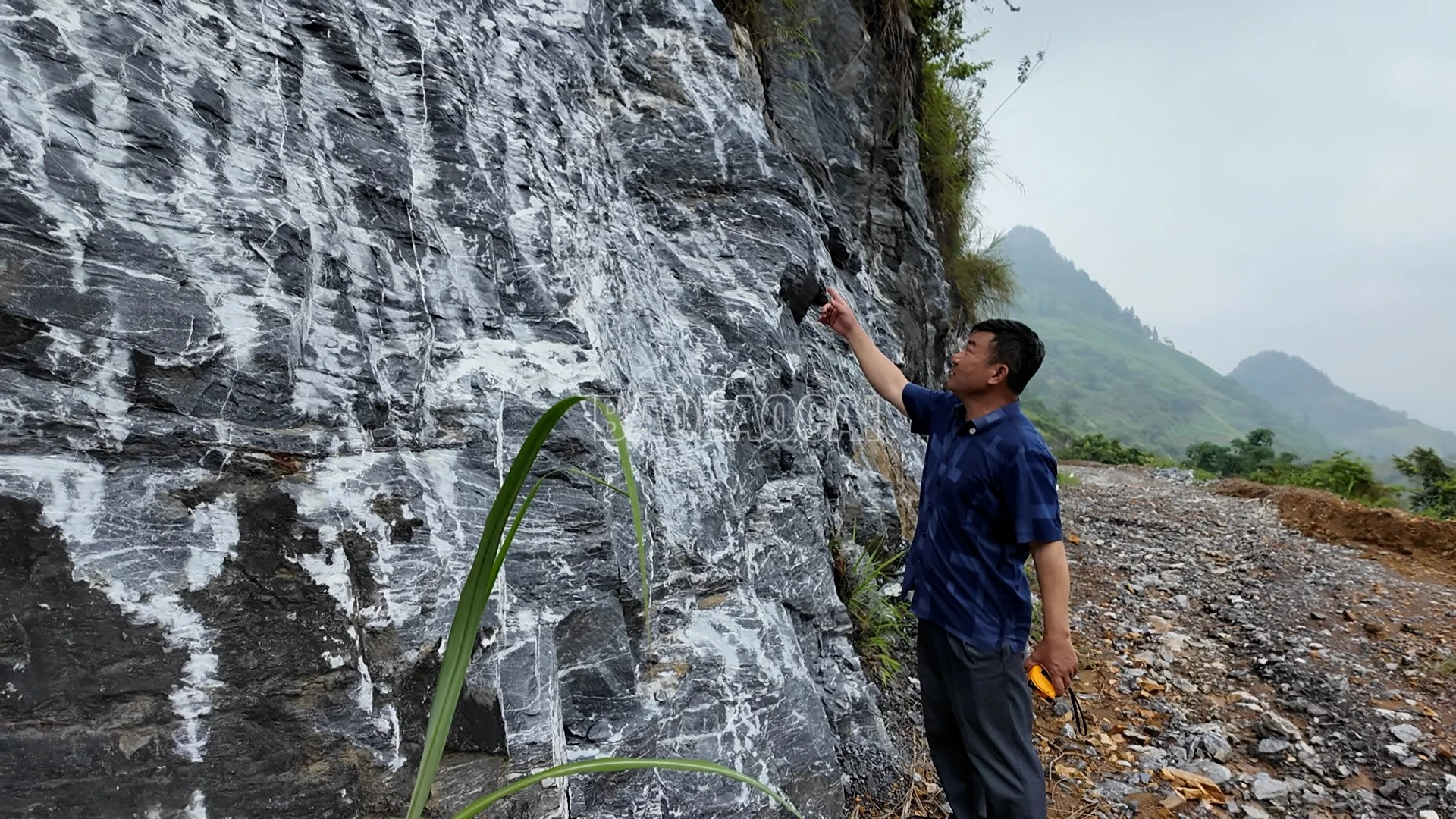 baolaocai-c_a22-7.jpg