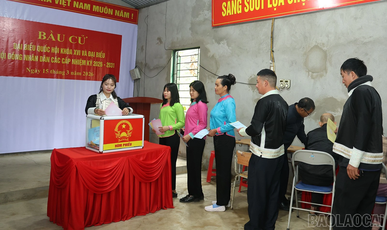 baolaocai-br_img-0171.jpg