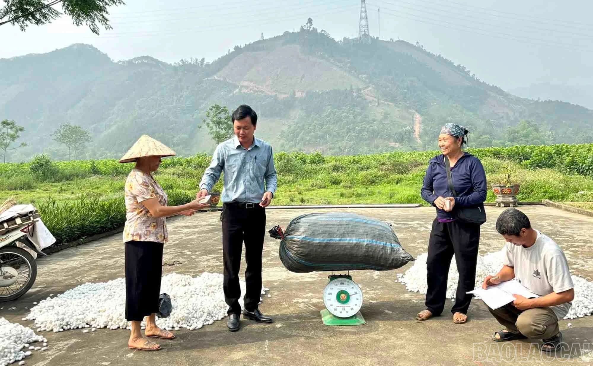 baolaocai-br_dautam-5.jpg