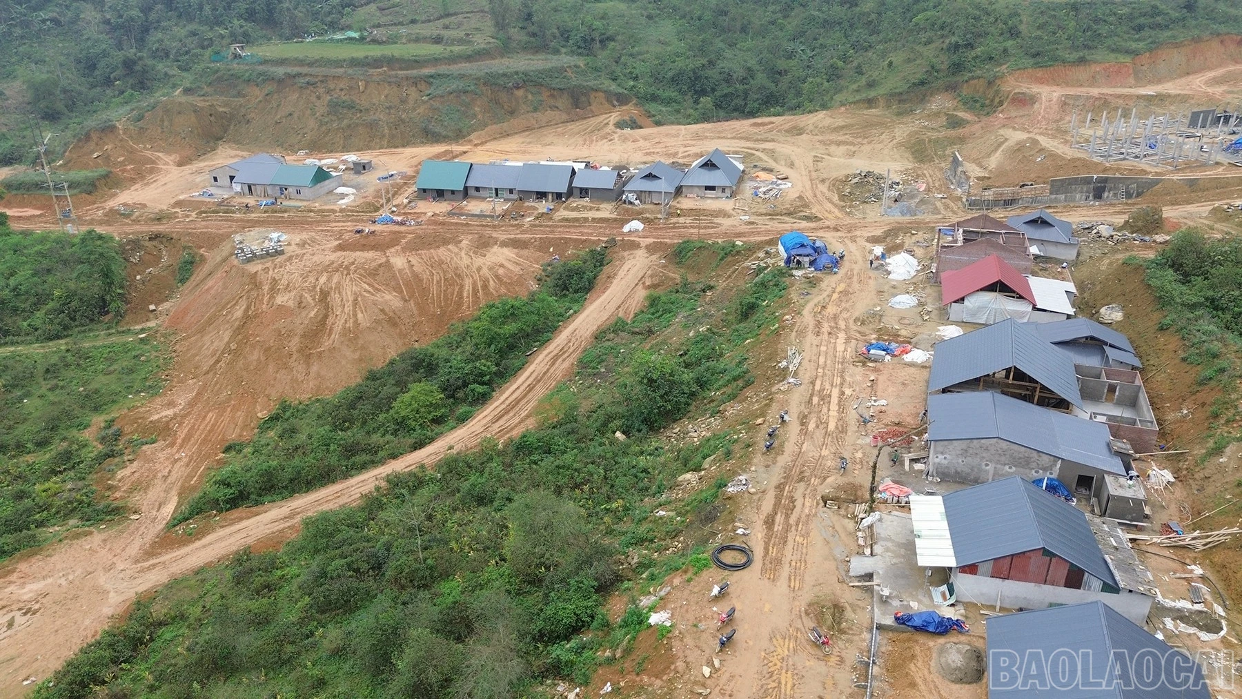 baolaocai-br_laovang-1.jpg