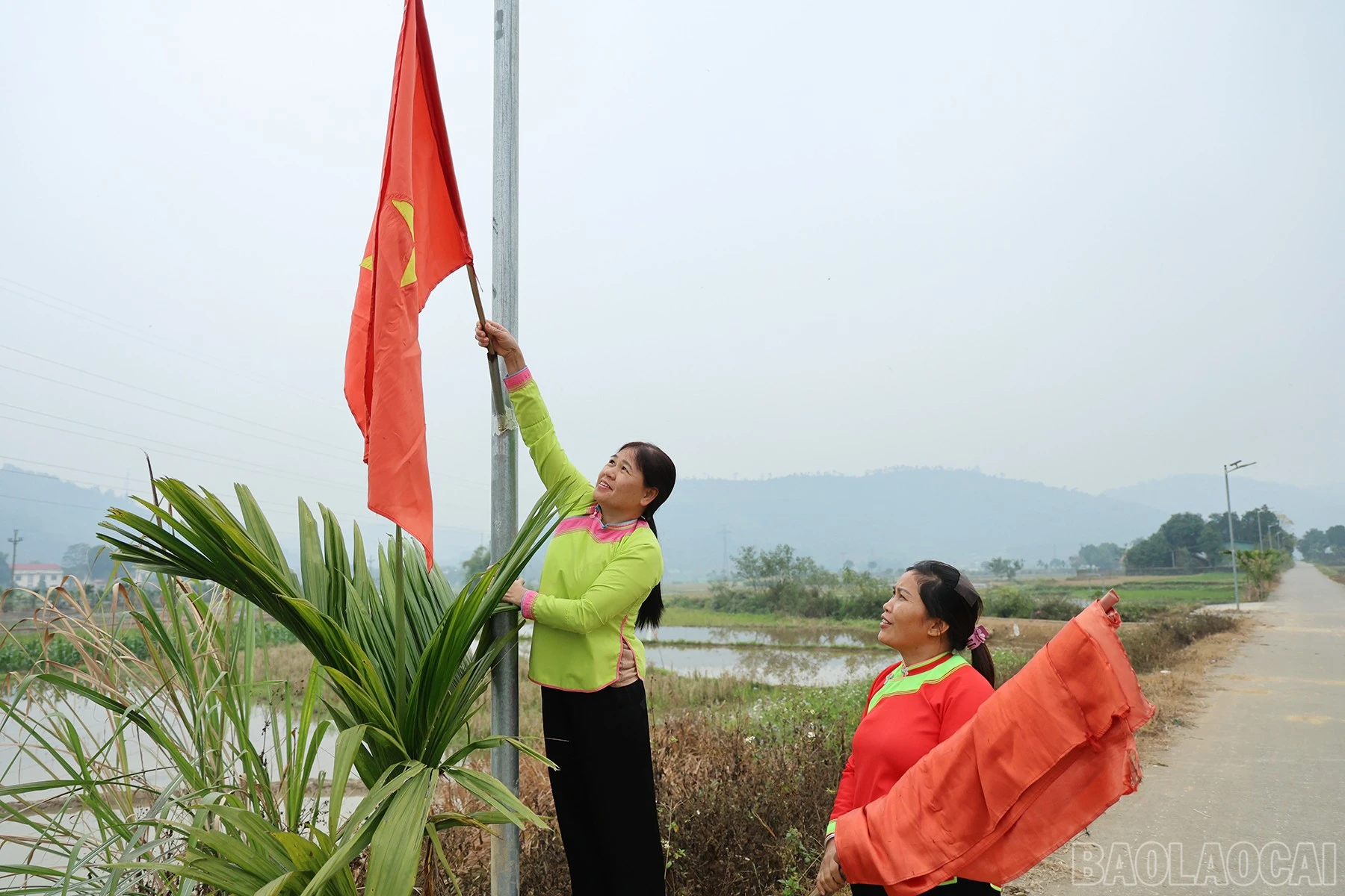 baolaocai-br_batxat-9.jpg
